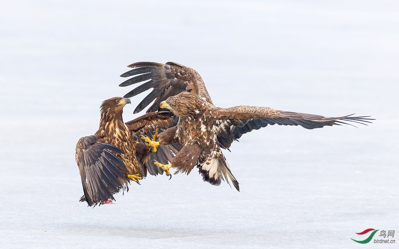 �������20202145.��ս (3).jpg