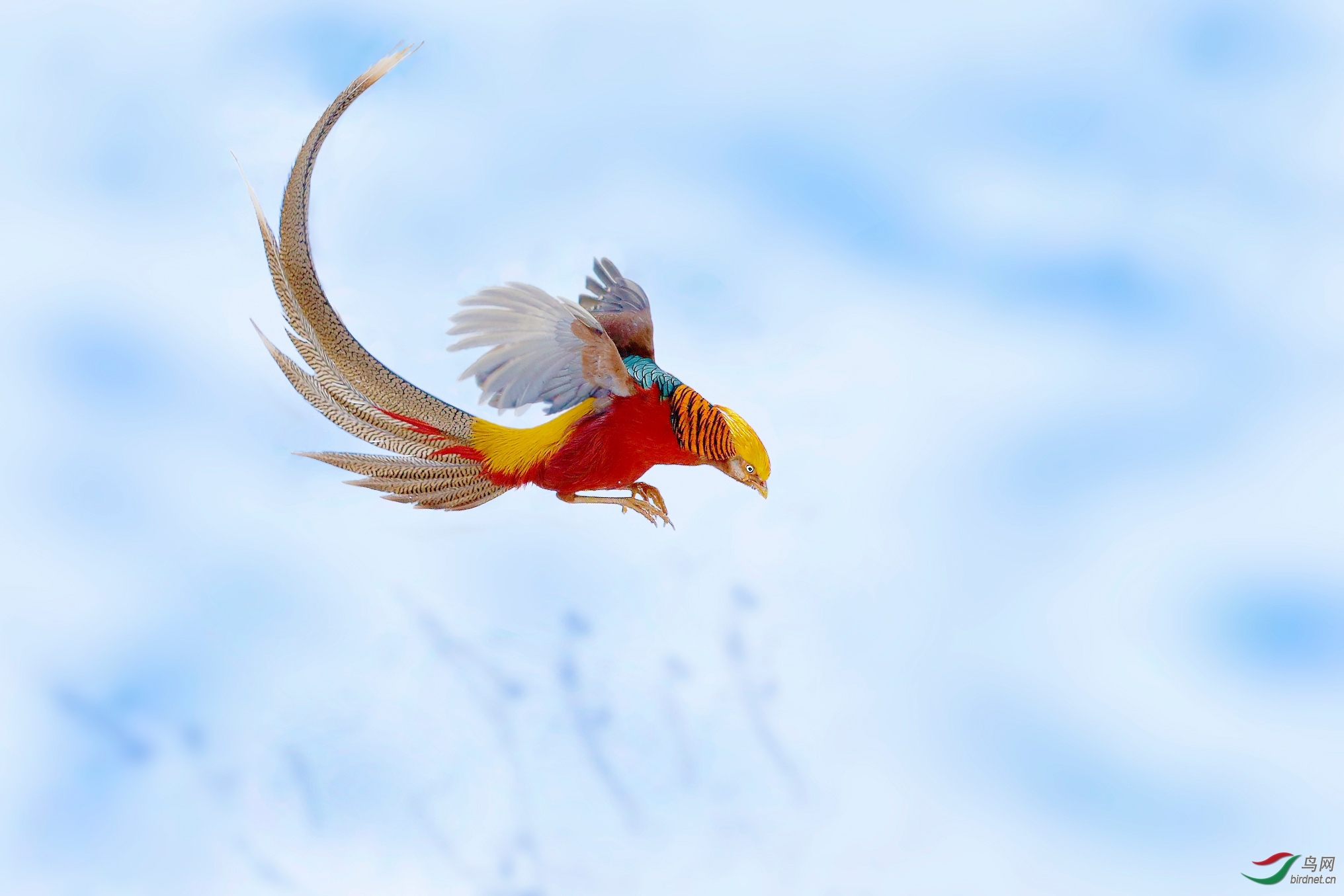 �����ӽ�20202201.�츹���� (5).jpg