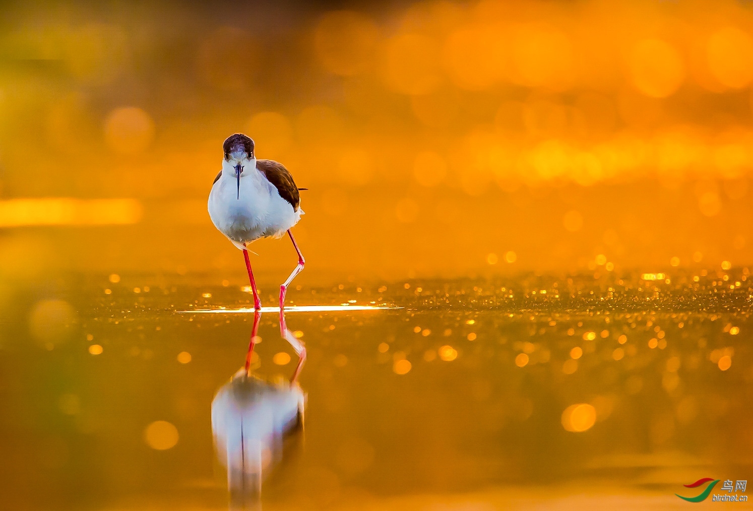 ��ʮ�߶�һ20202598.������ (2).jpg