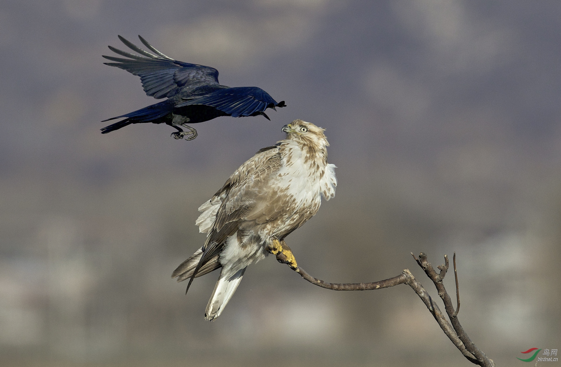 �۷��r20200807.��ѻ��