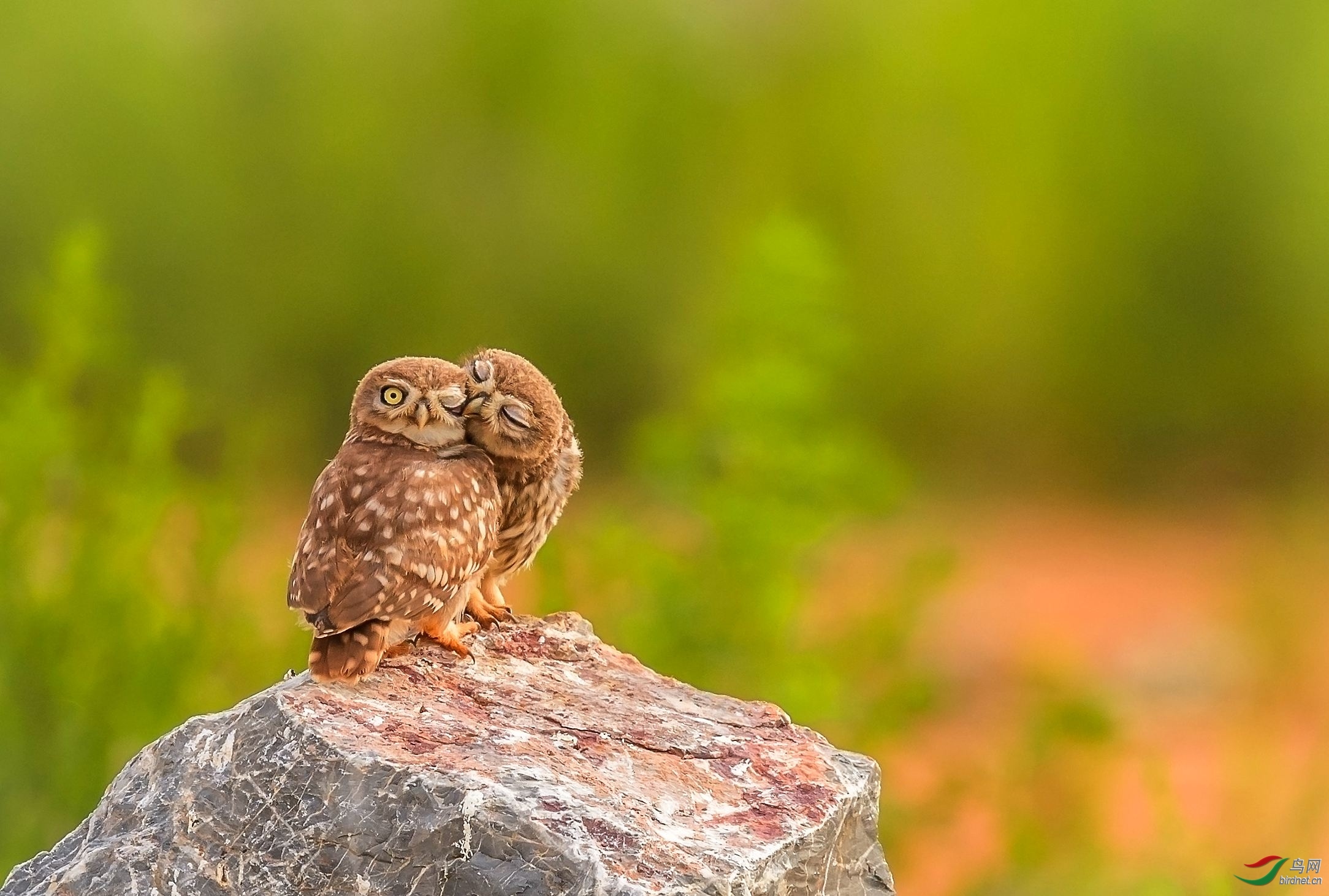 dl������20200602.[����] �ײ�����.jpg