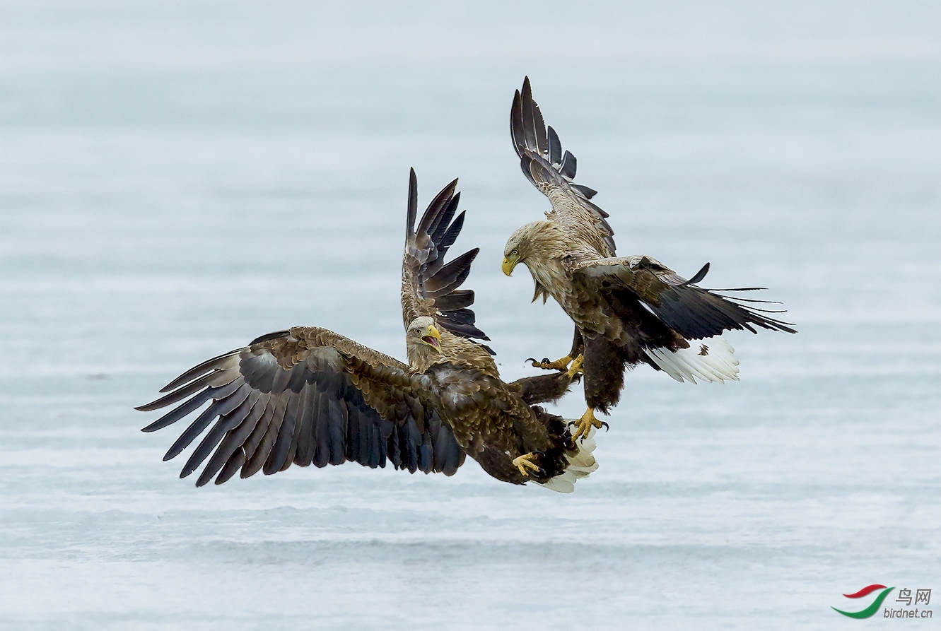 yumin-20201996.��β���� (5).jpg