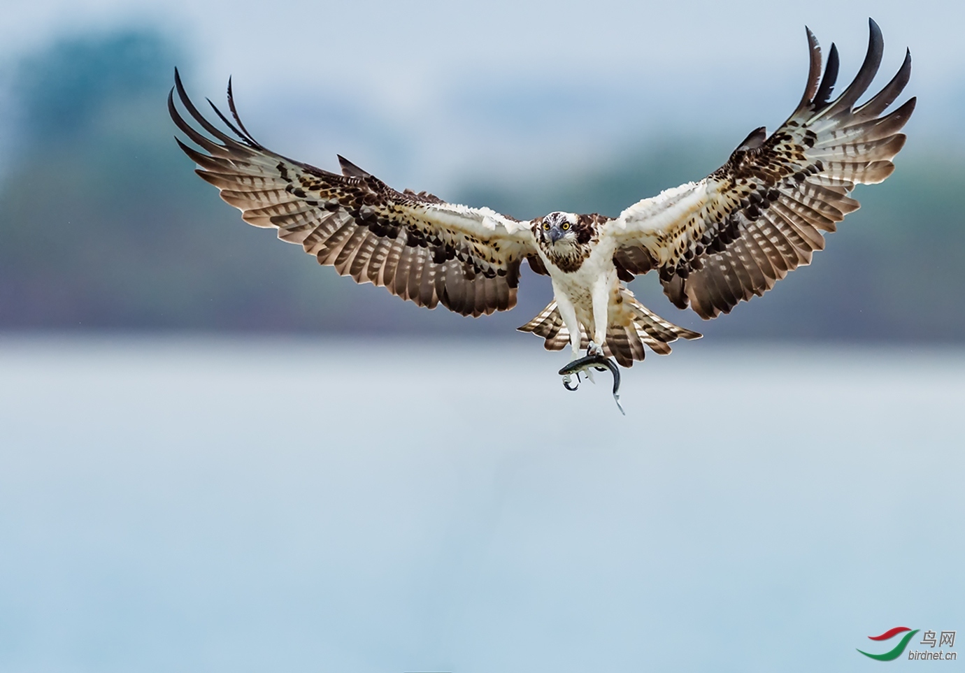 ��ɽ��Ҷ20201846.���ض��� (2).jpg