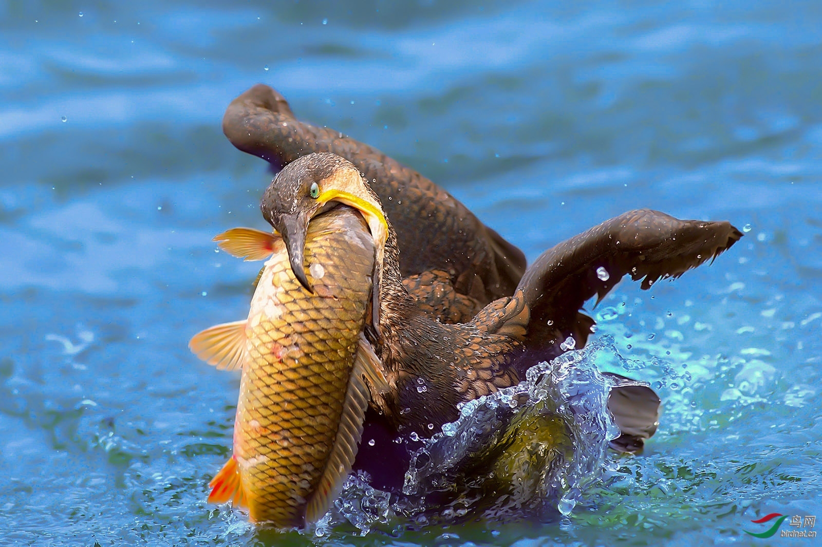 ����20201336.�������� (3).jpg