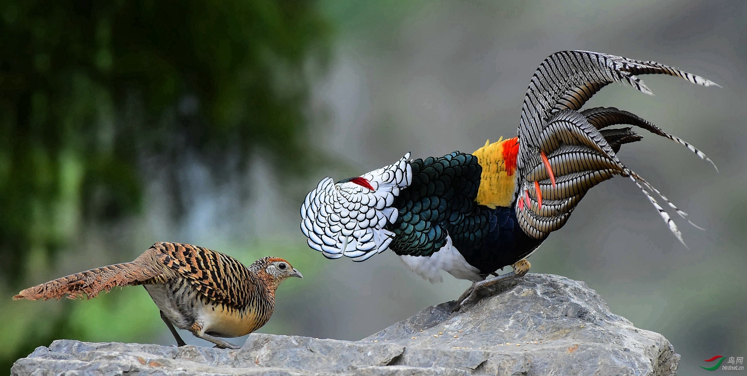 ������ͯ20202019.�׸����� (3).jpg