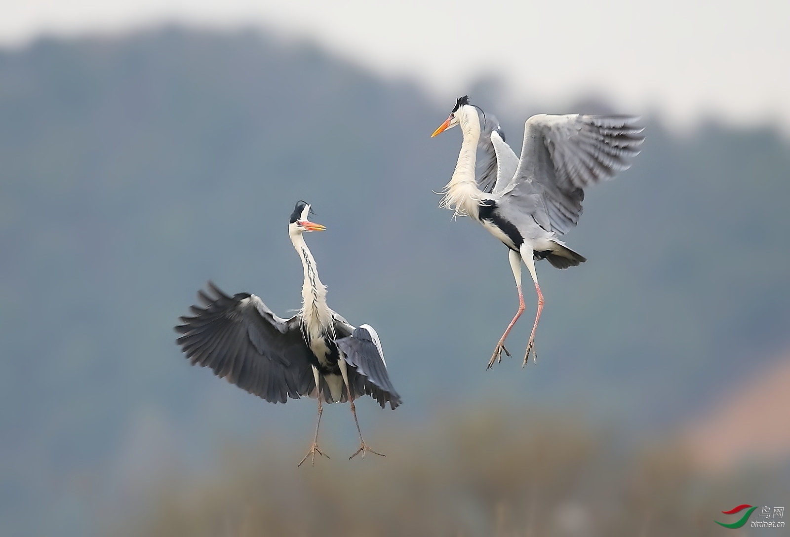 ����20202126.���ж��� (2).jpg