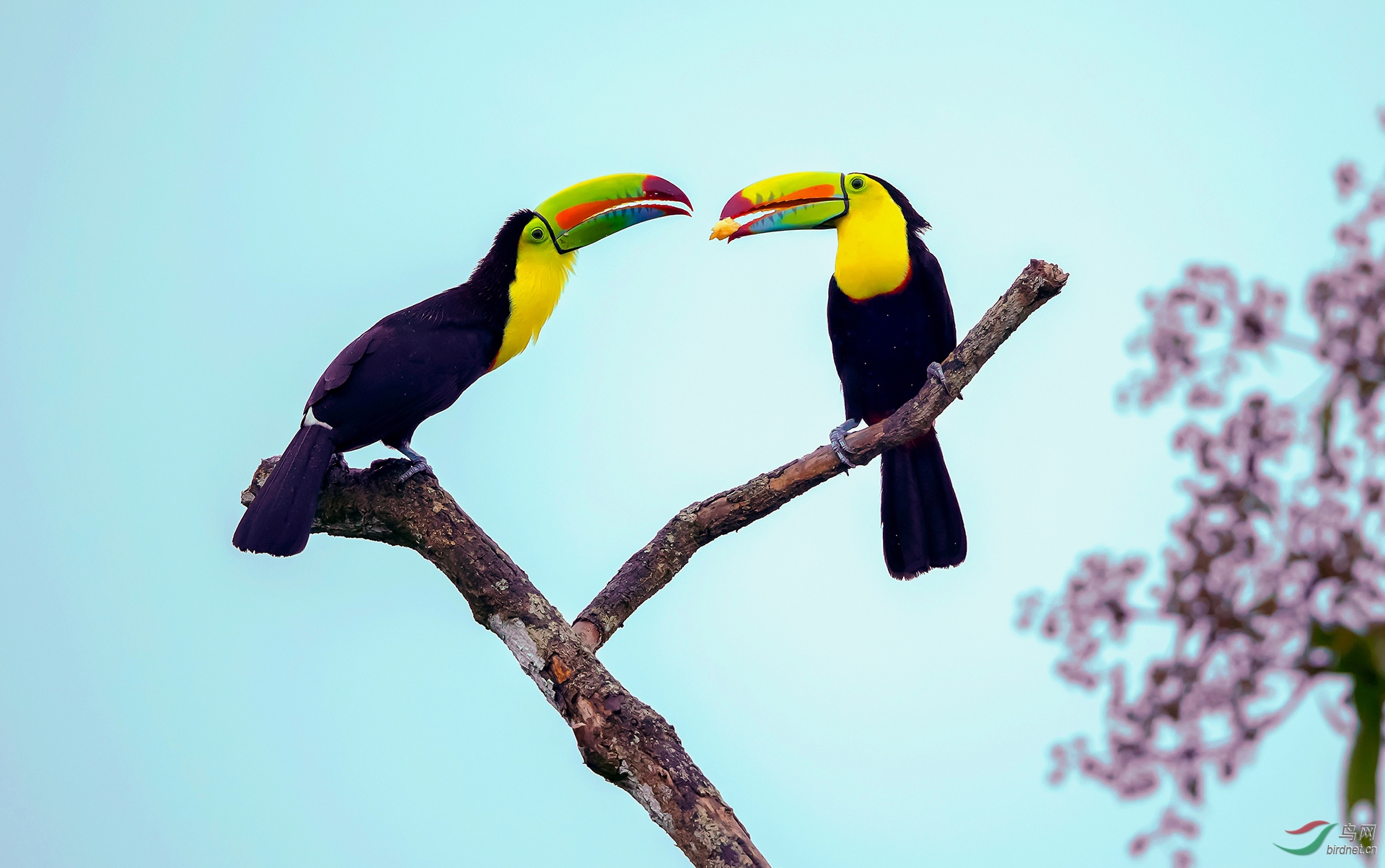 ����20202095.ʾ�� (3).jpg