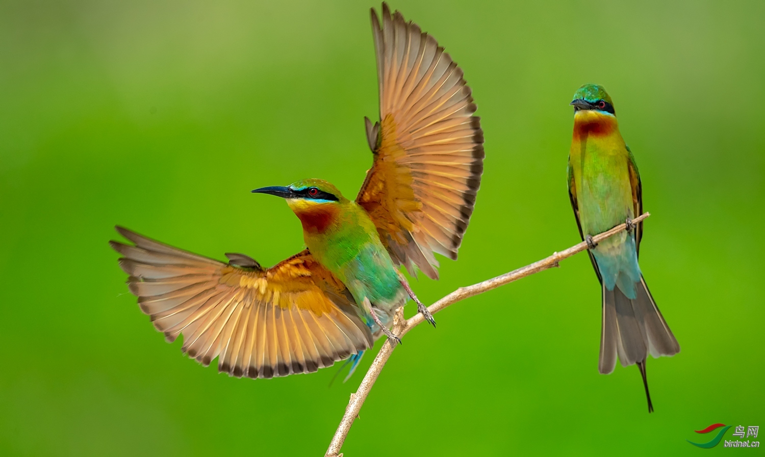 �ɿ���20201718.�����仢 (3).jpg