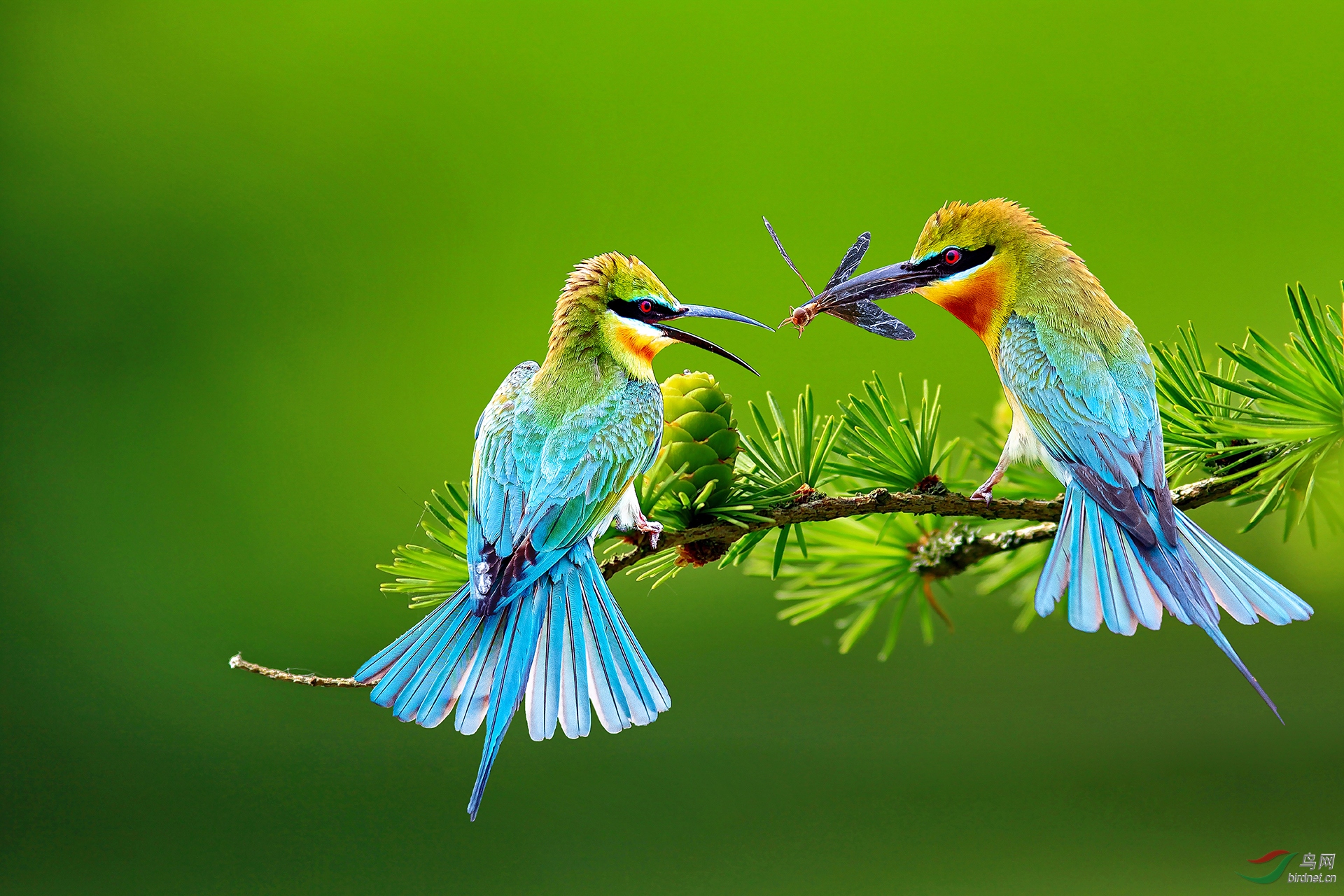 �����20202094.ʾ�� (2).jpg