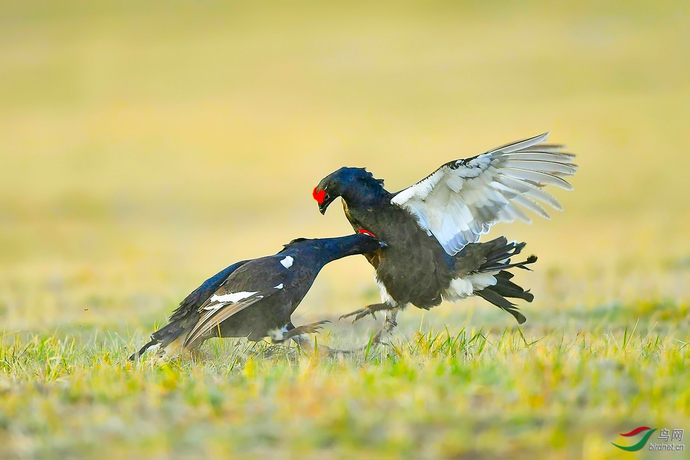 ��������20202872.���ټ� (3).jpg