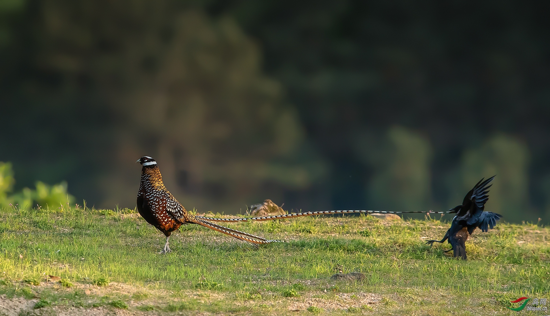 ����20200808.��ѻϷ�׹� [��������].jpg