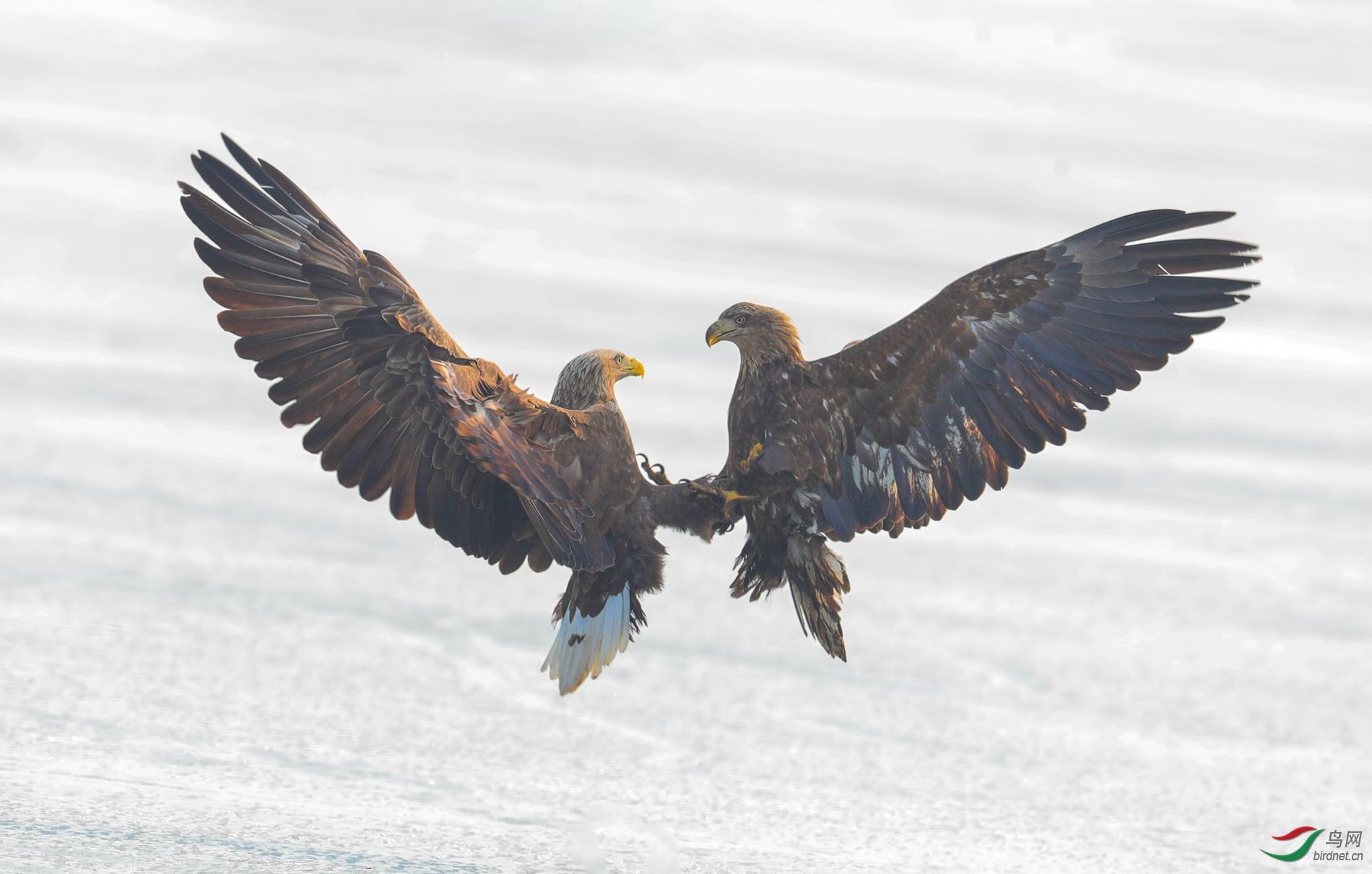 �����ø�-20202121.���д�ս (2).jpg