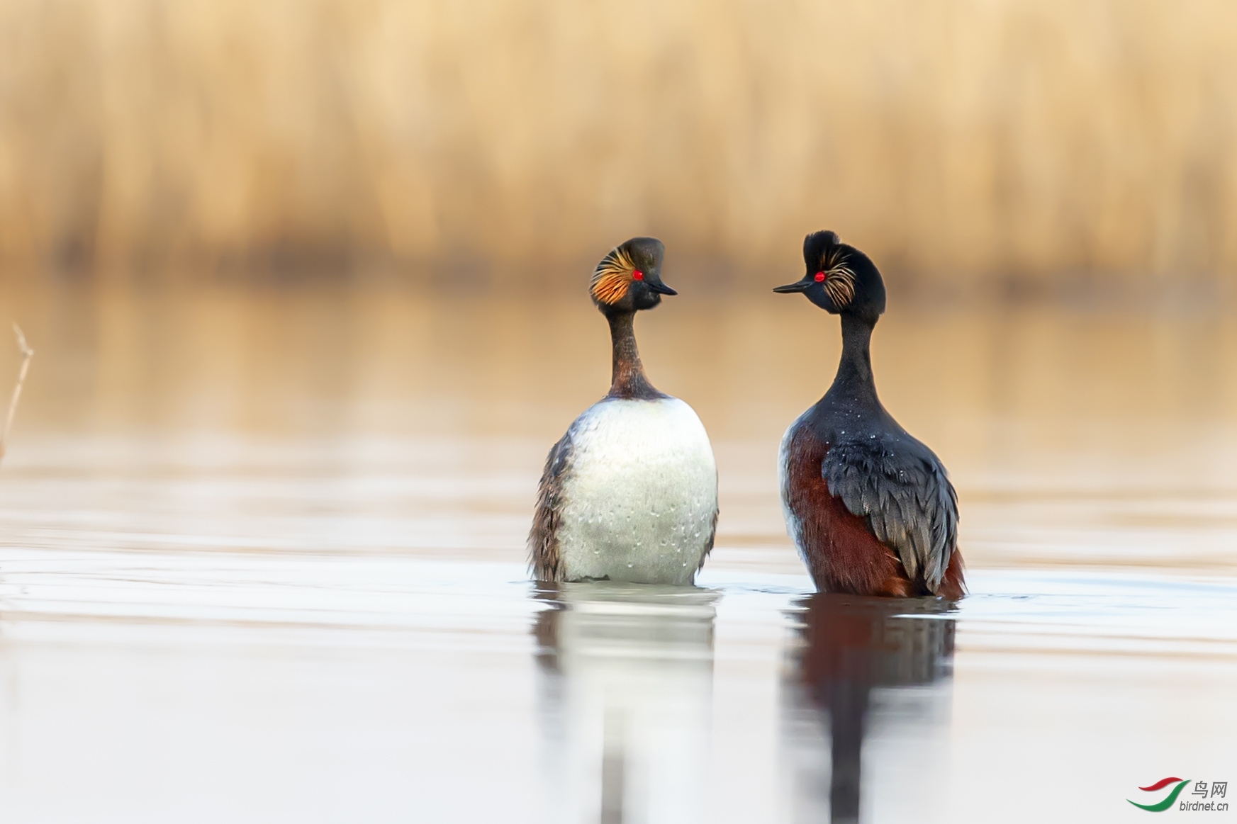 ���ϲ�-20200041.6 (3).jpg