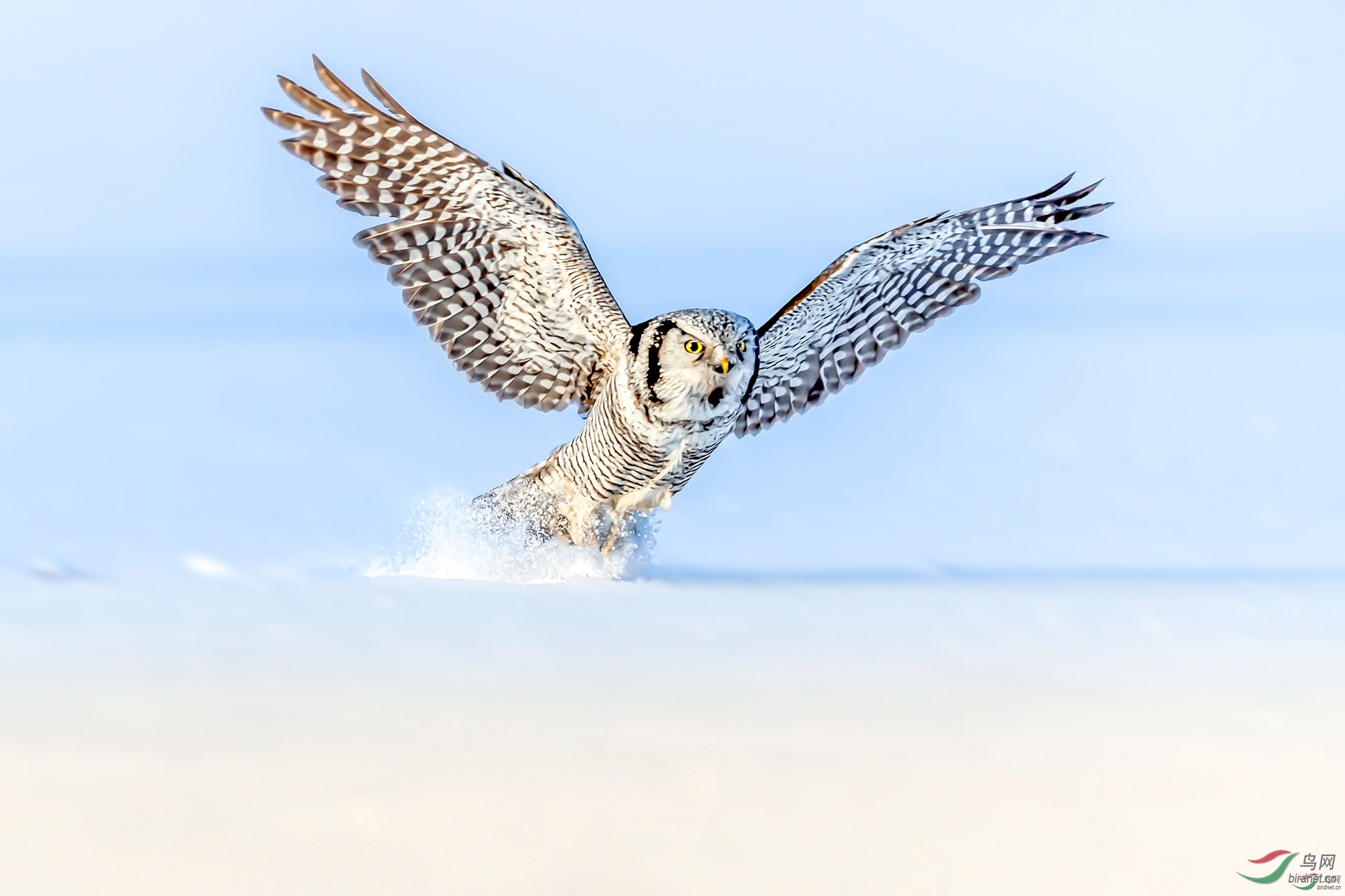 ����20201946.���^ (5).jpg