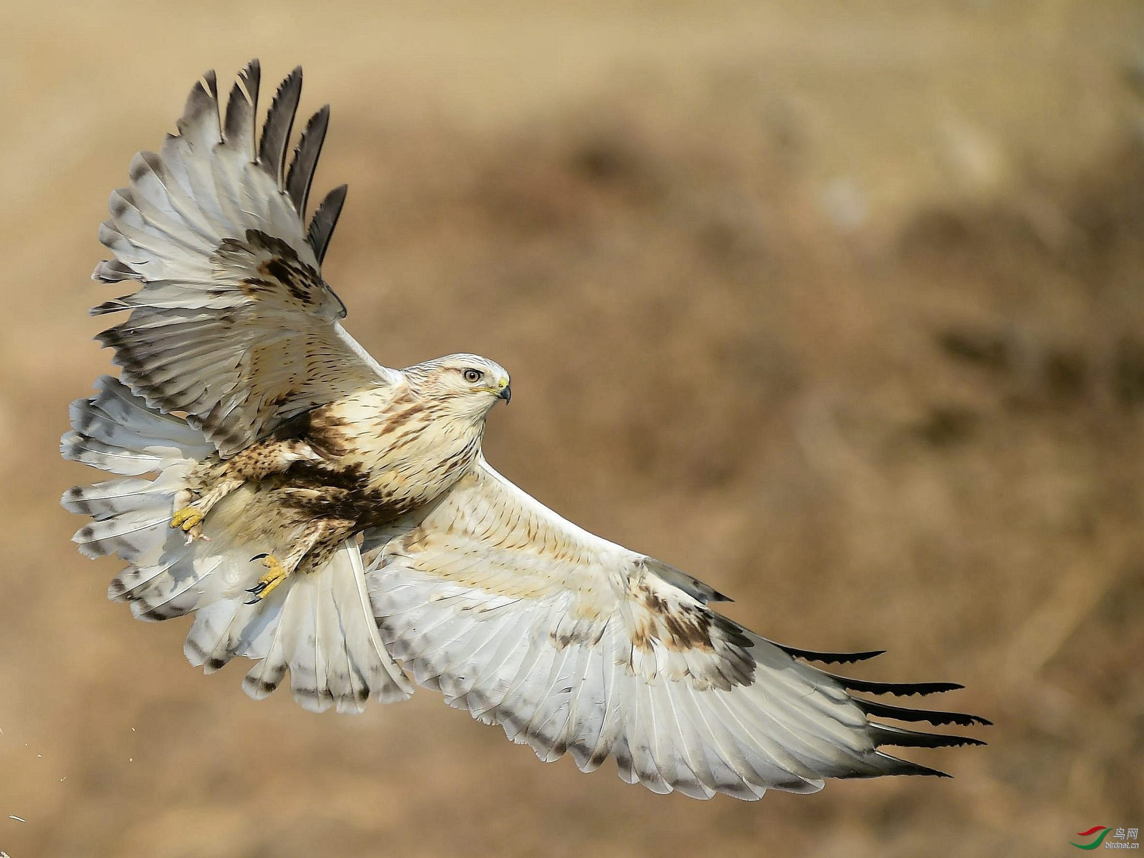 ������ͯ20201781.ë��