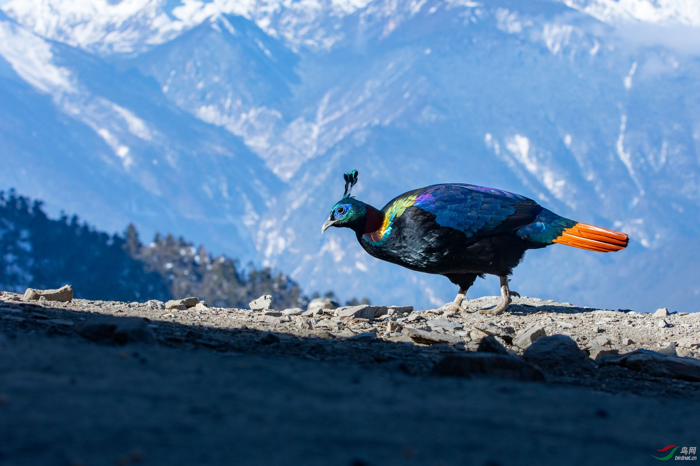 ������20201748.��β���� (2).jpg