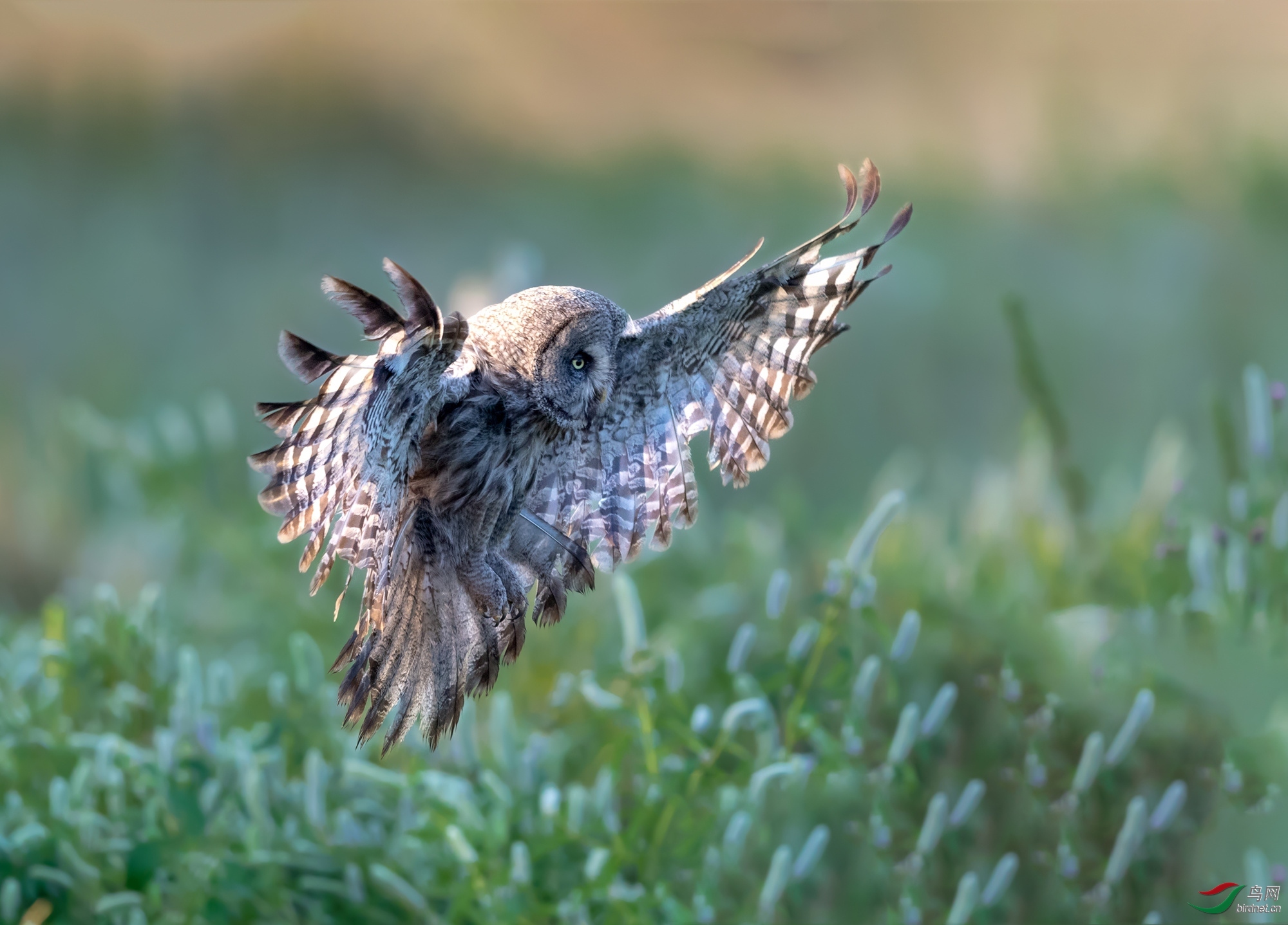 ���20200796.�����^ (4).jpg