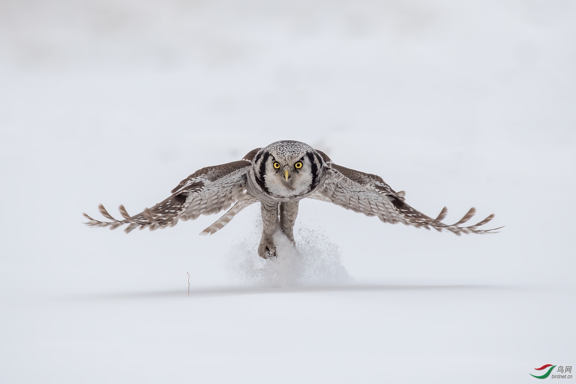 �����޽�20201945.���^ (4).jpg