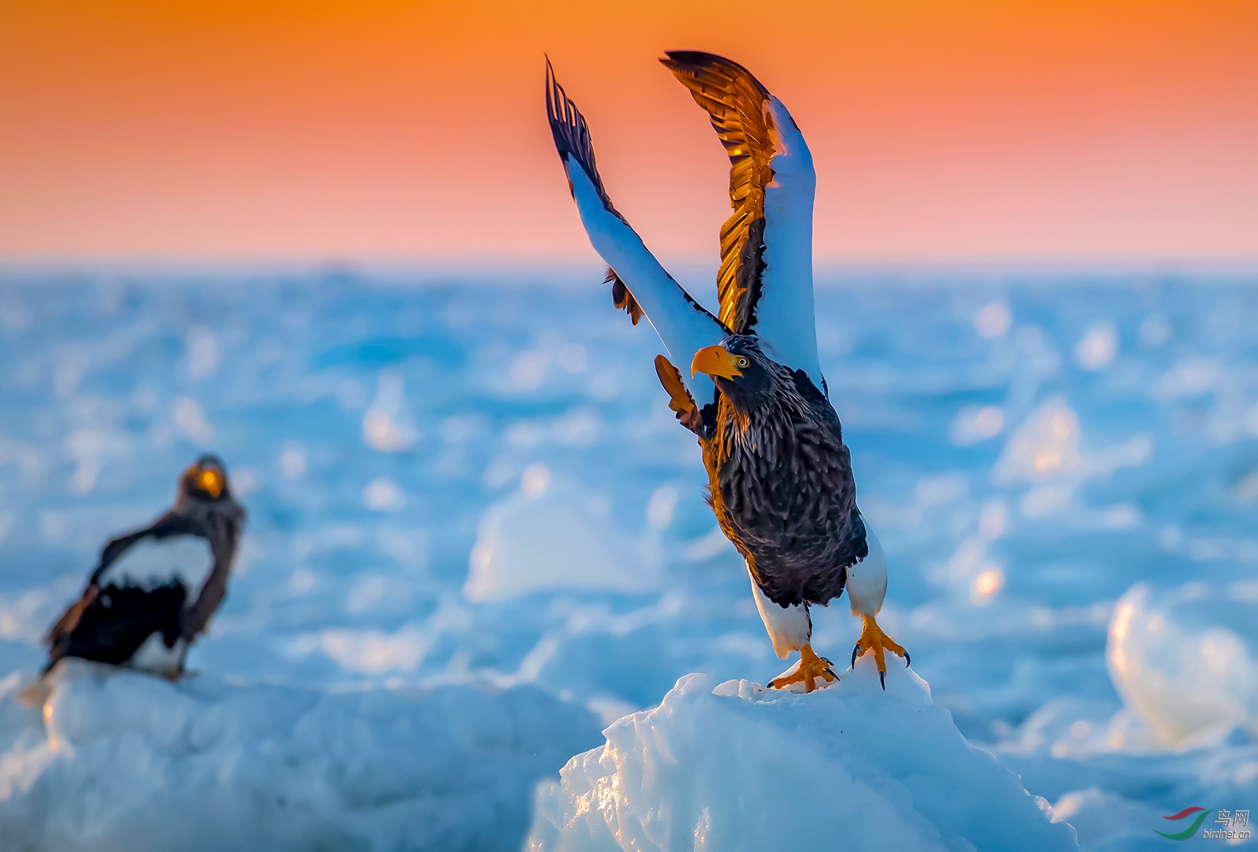 ����20201539.����ڿ� .jpg