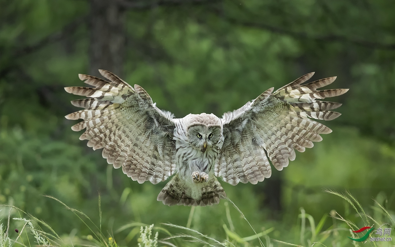 ���-20202584.����Ŀ�� (2).jpg