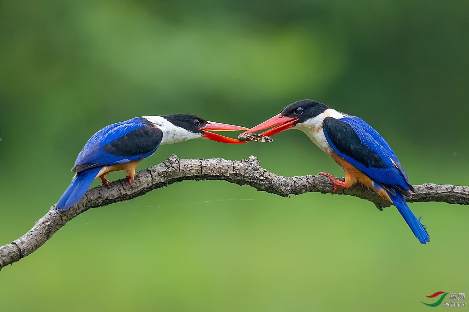 �ɿ���-20202400.����� (6).jpg