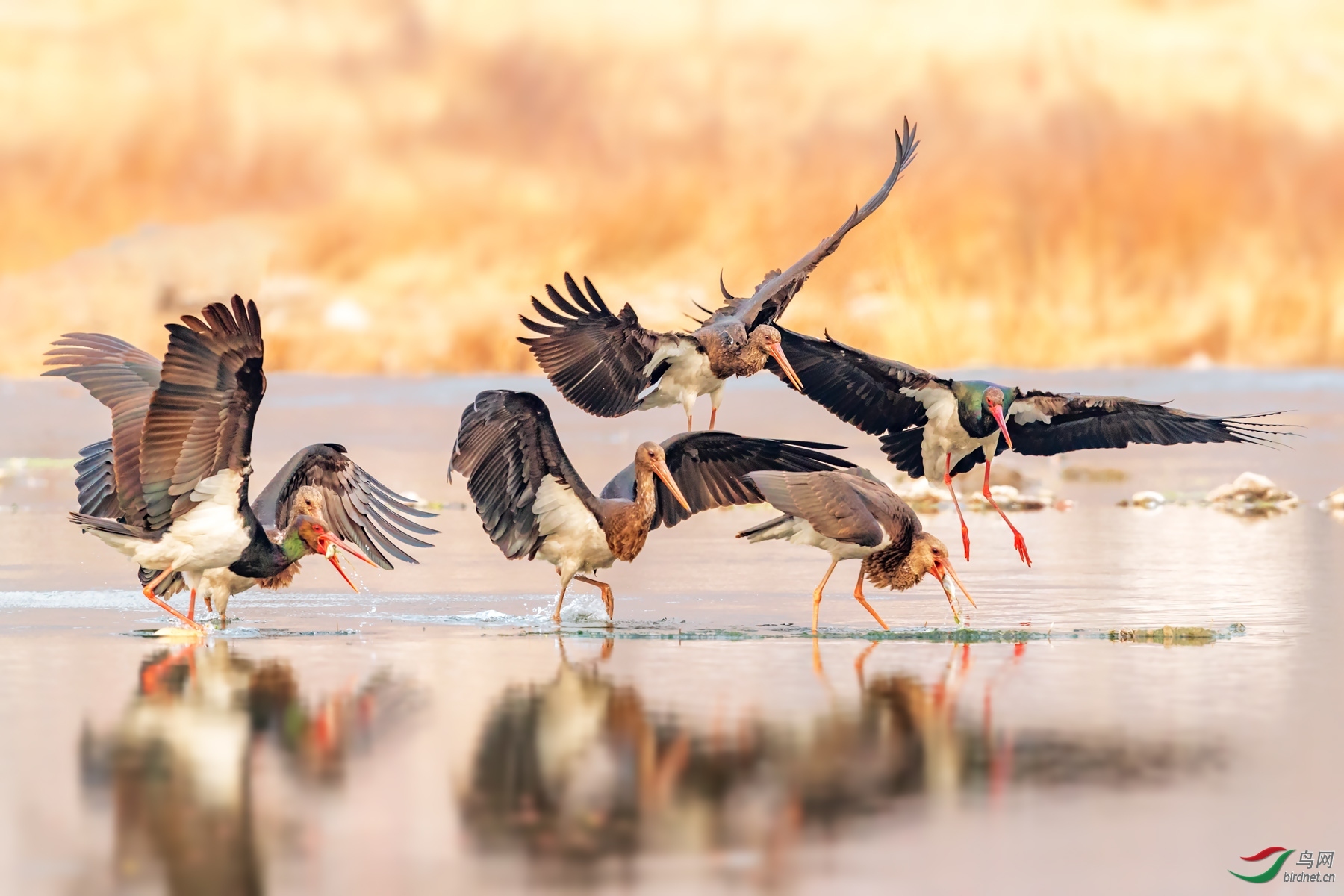 ����-20202898.���� (3).jpg