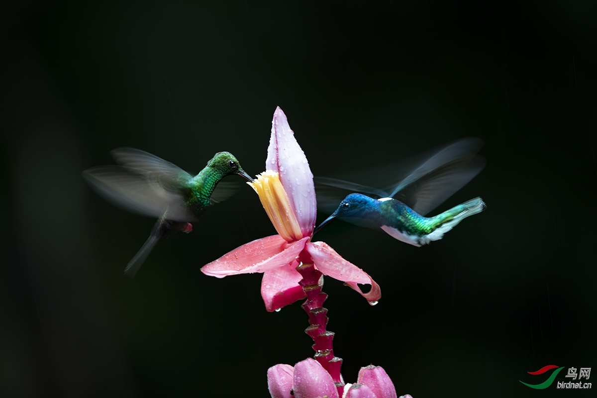 ����-20202627.�� �� �� ʳ.jpg