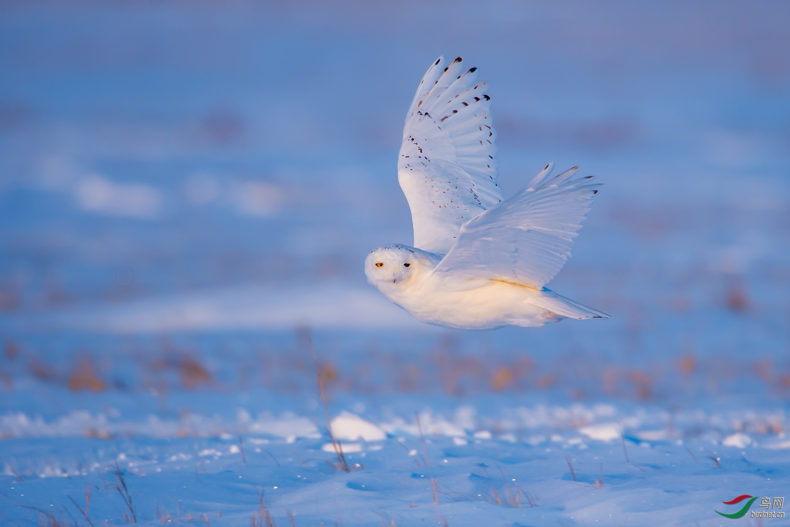 ��ʮ�߶�һ20200606.[����] ��.jpg