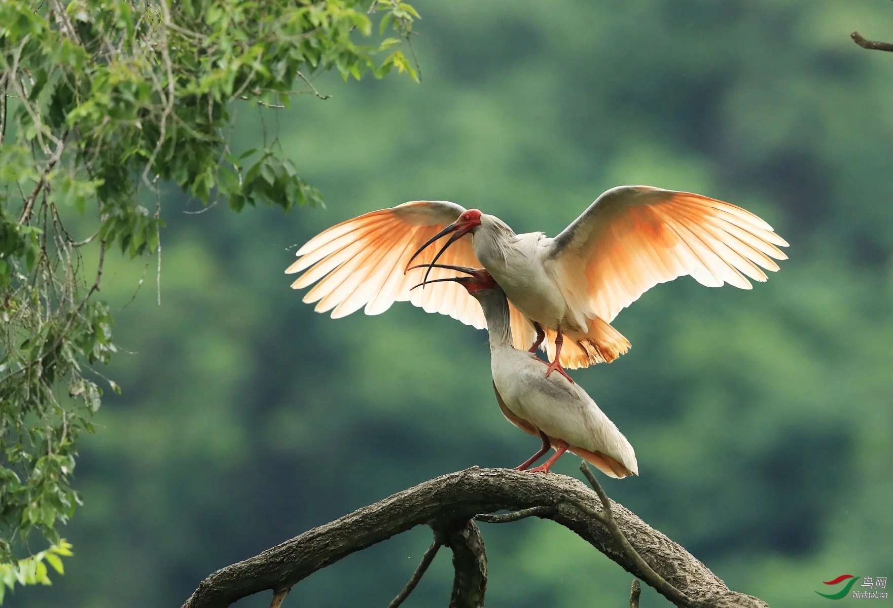 Сҵ��20201688.���q (3).jpg