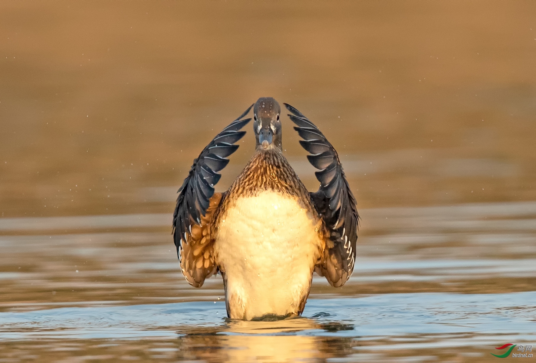 һ·����20200617.[����] ˫�־���.jpg