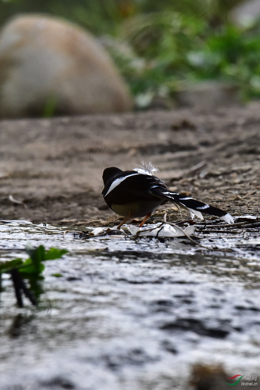 DSC_0926.JPG