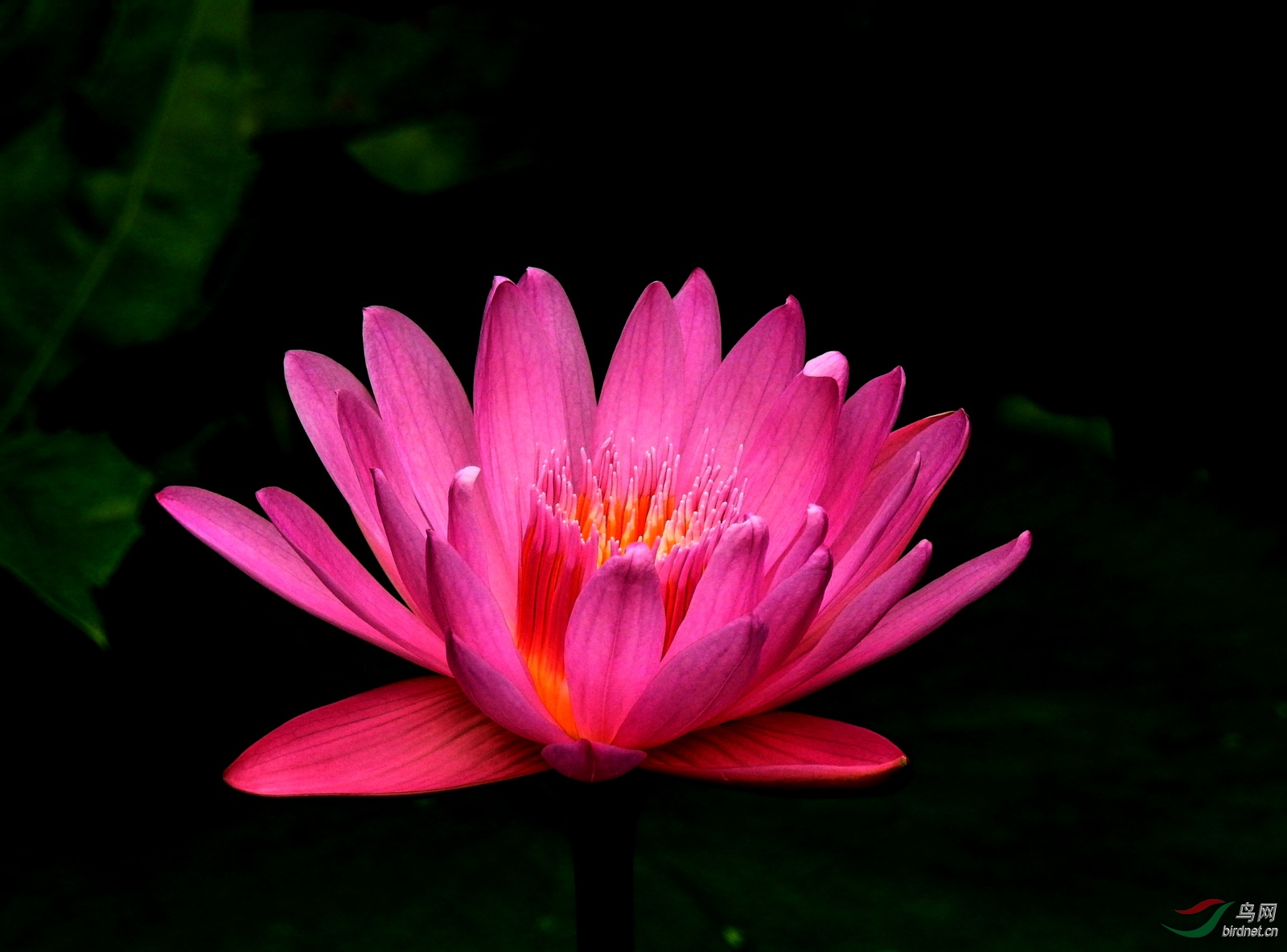 DSCN5606.JPG