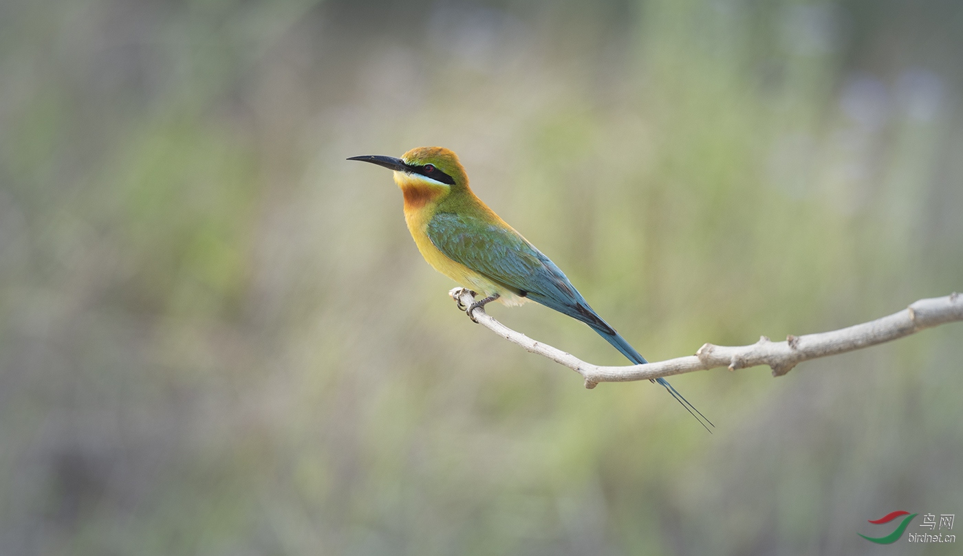 DSC_6168.jpg