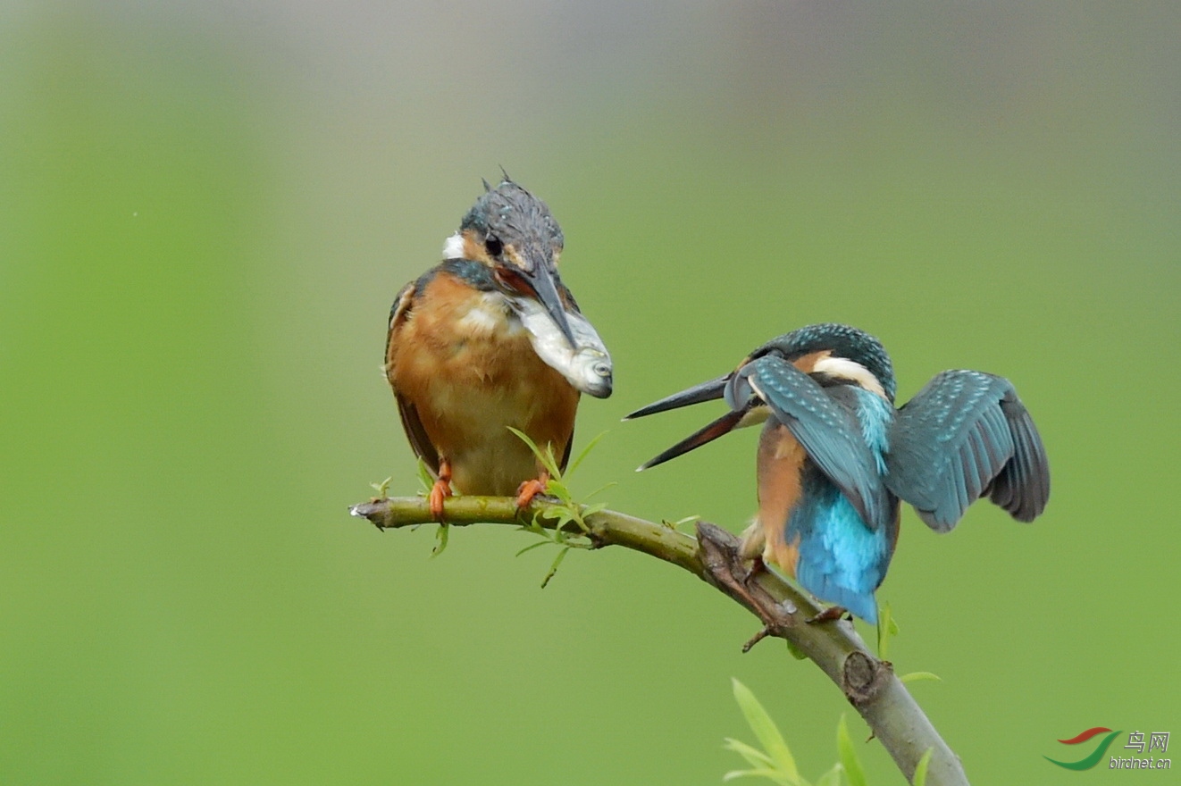 DSC_7662.JPG