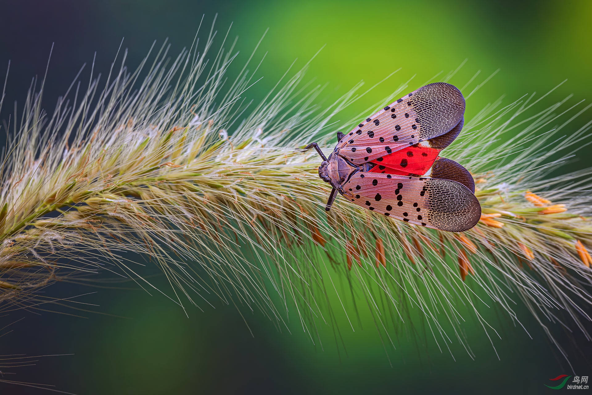 _G3A0584-1.jpg