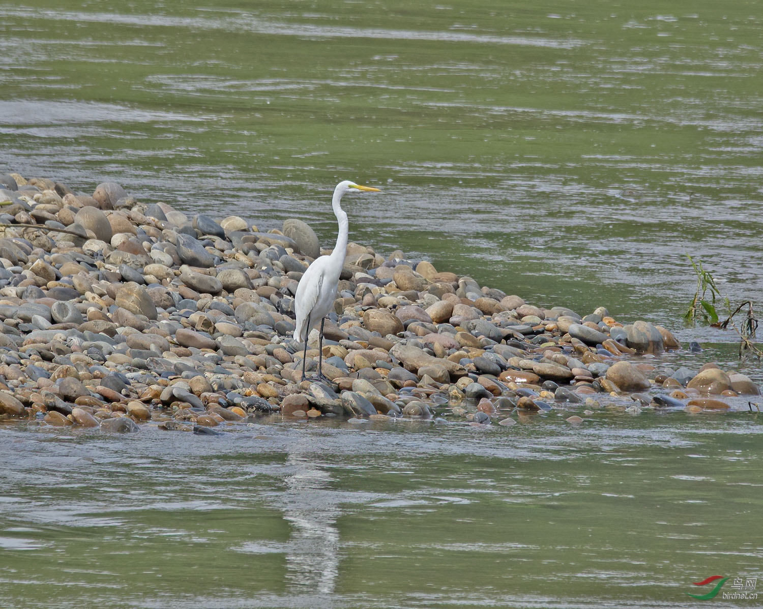 DSC_2199.jpg