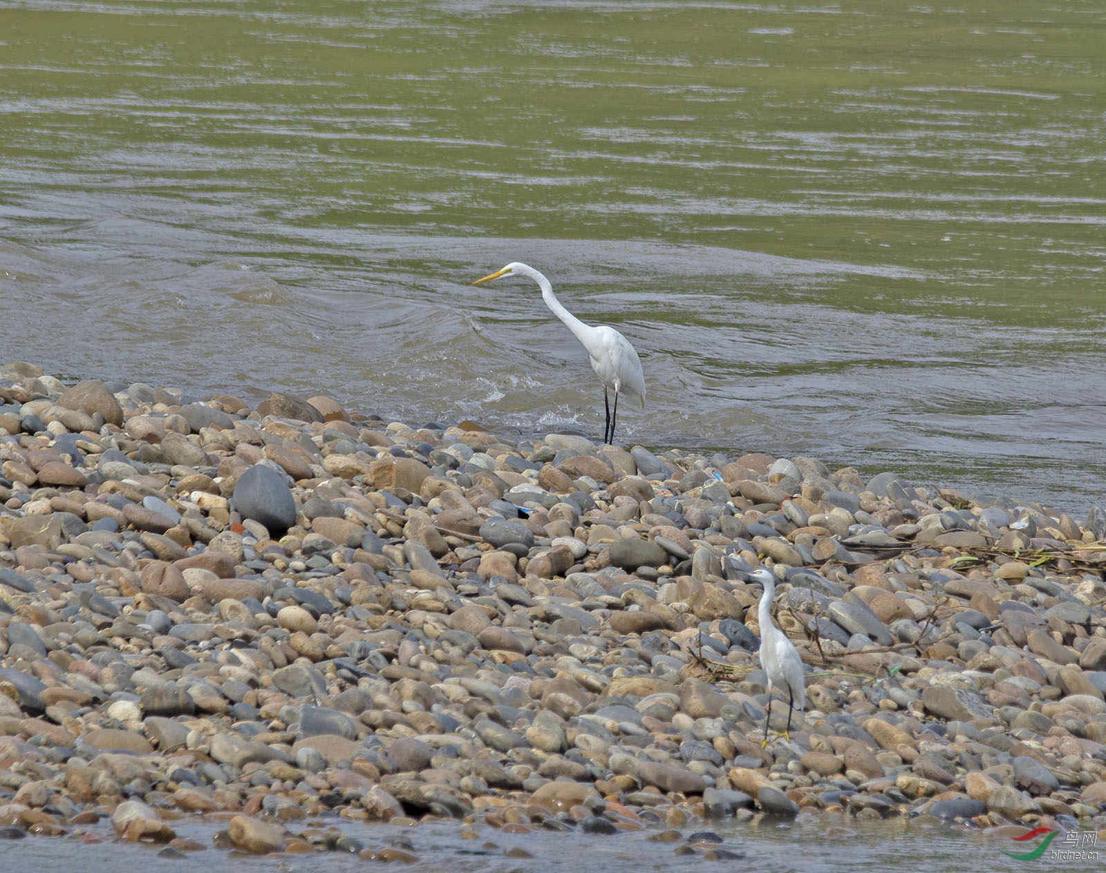 DSC_2070.jpg
