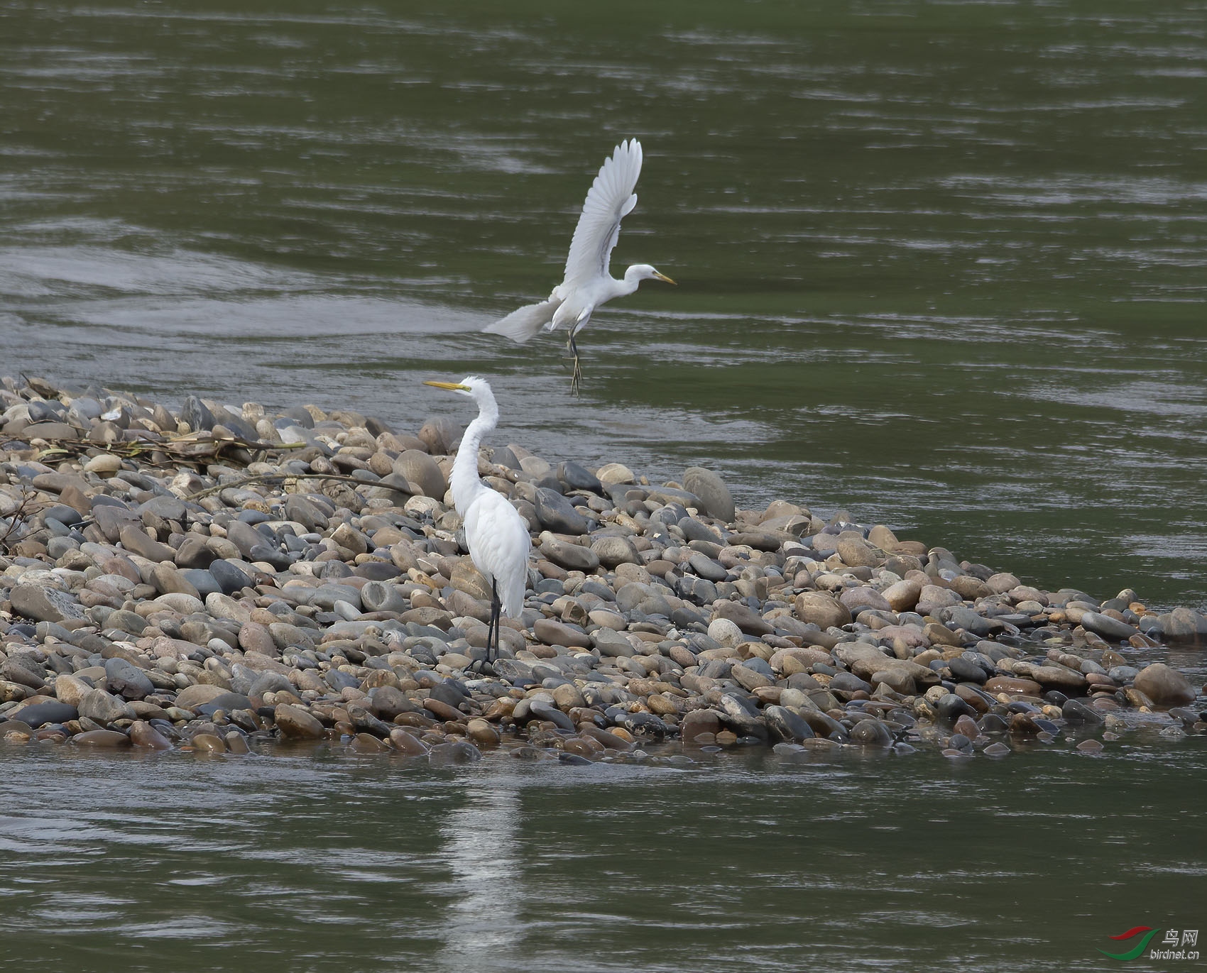 DSC_2143.jpg