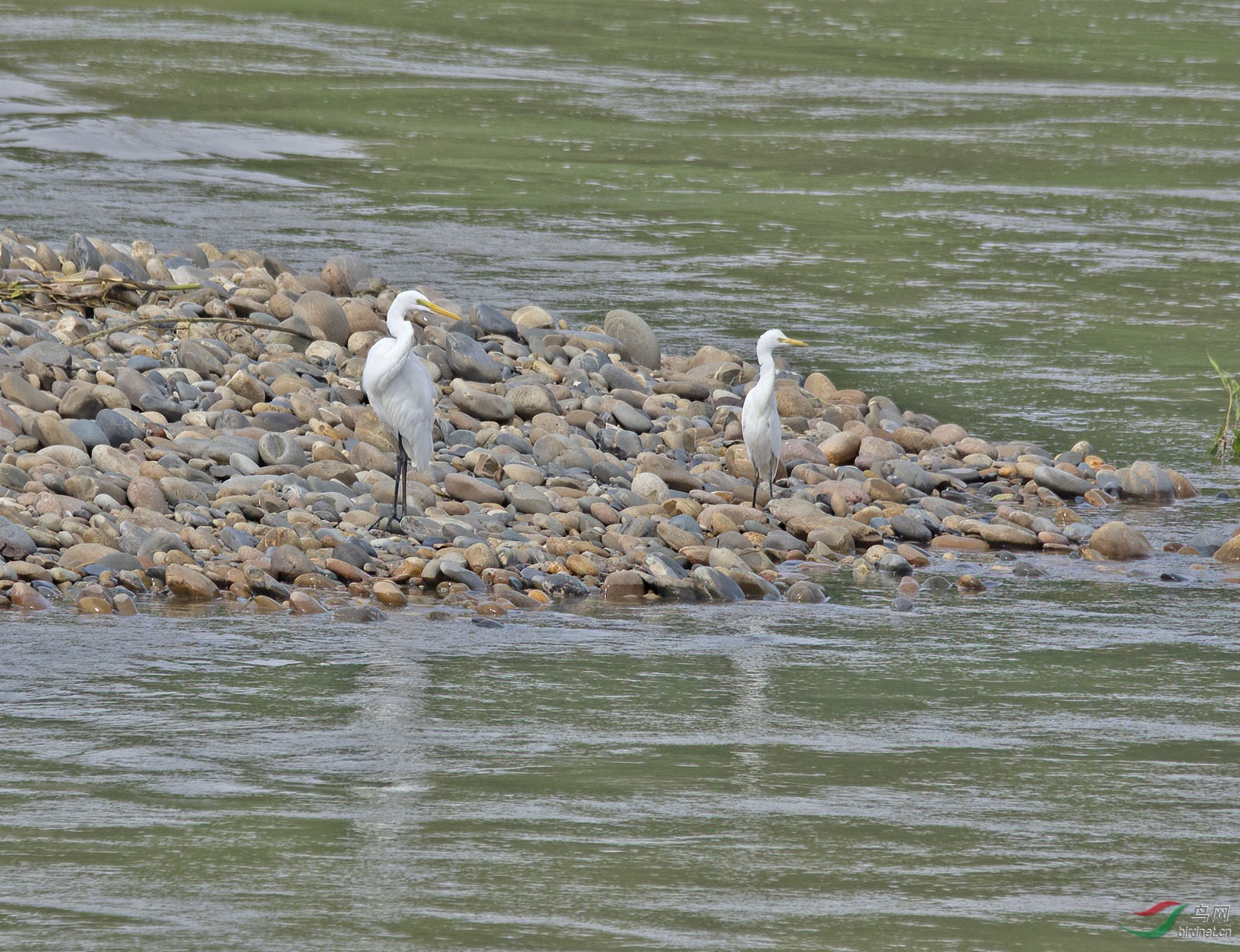 DSC_2166.jpg