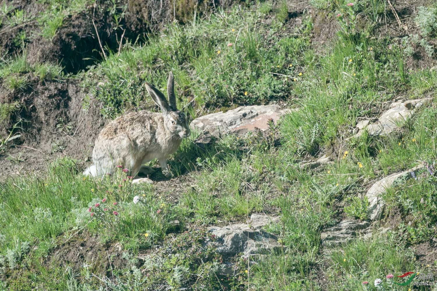 _DSC3280_2.jpg