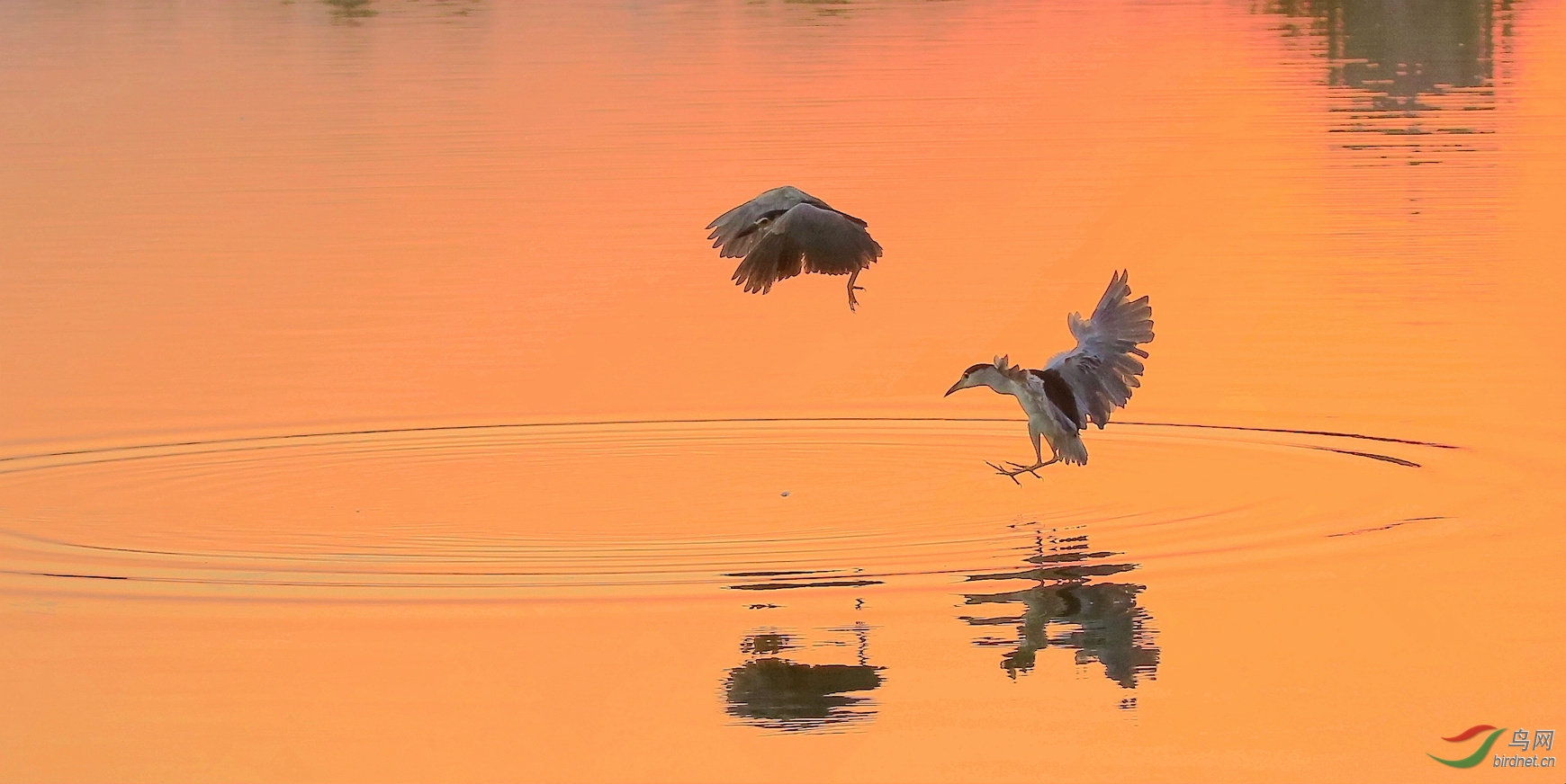 _I8T0169_���� (2).jpg