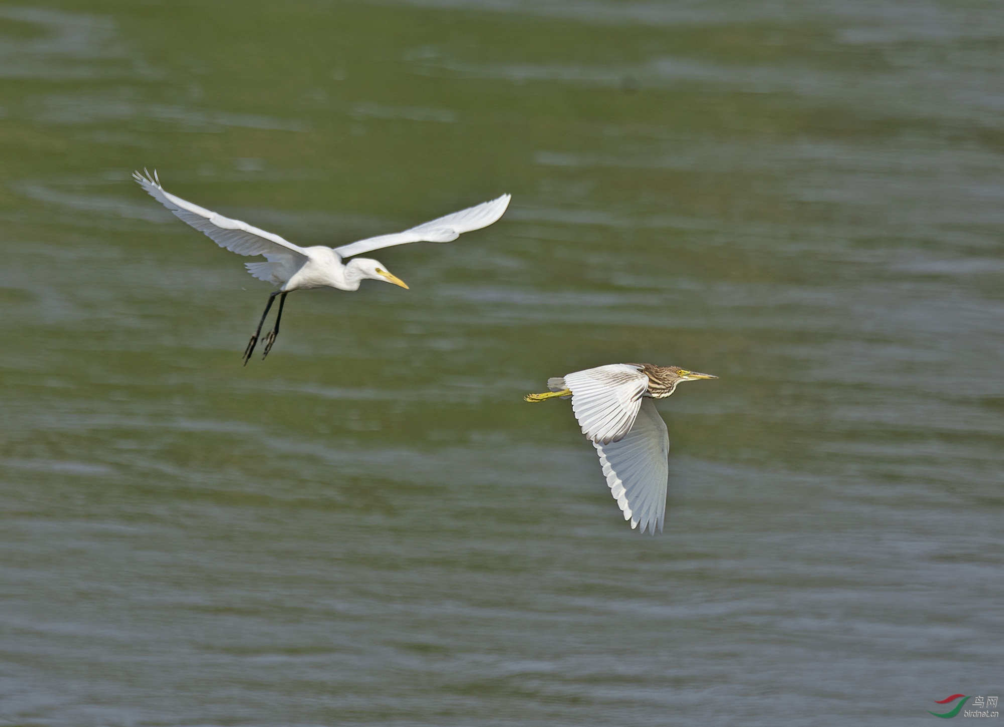 DSC_2532.jpg