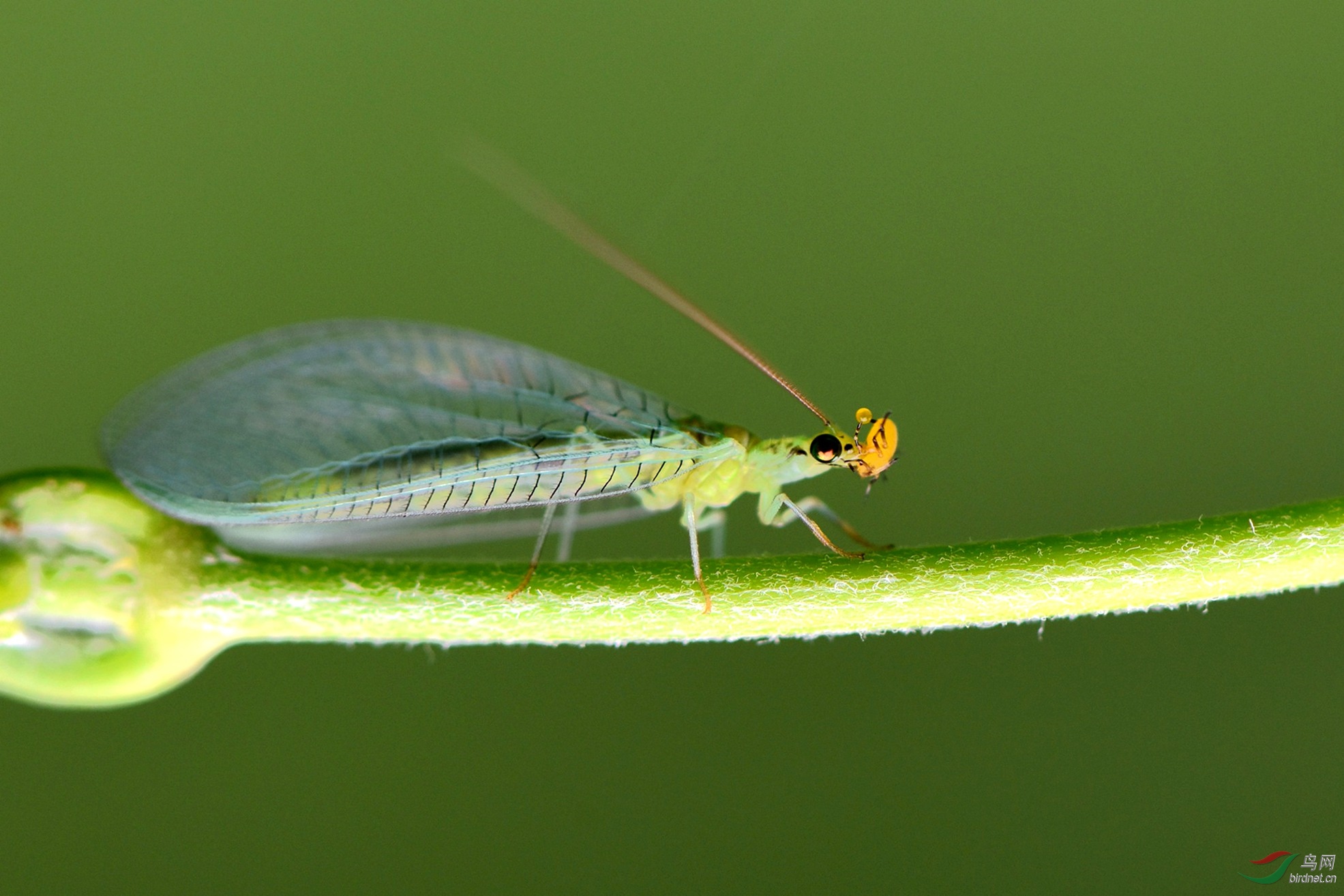DSC_8925.JPG