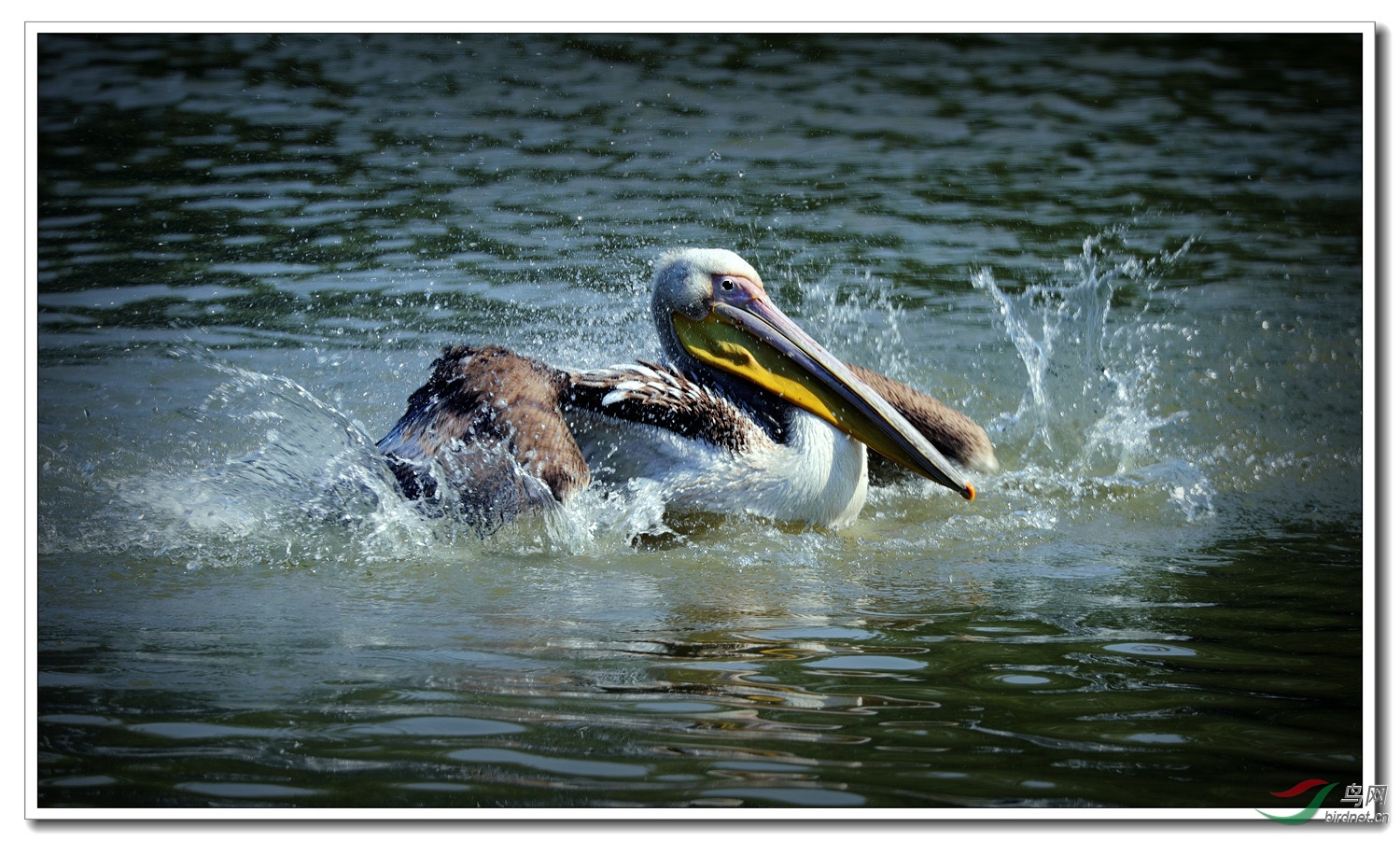 ��ˮ����