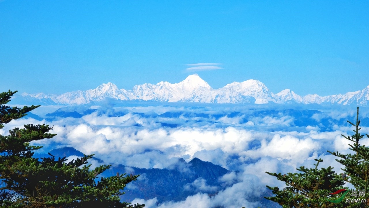 远眺白雪皑皑的贡嘎山