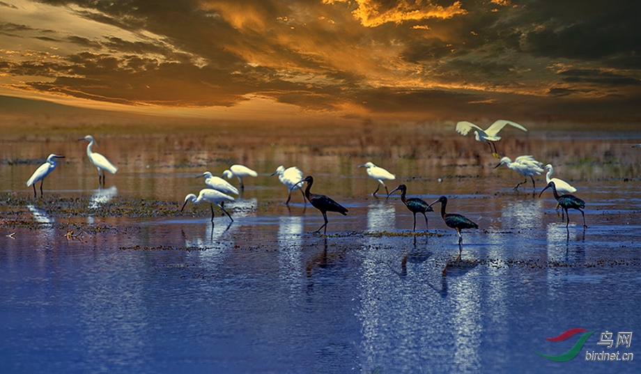 ΢��ͼƬ_20200804223529 (1).jpg