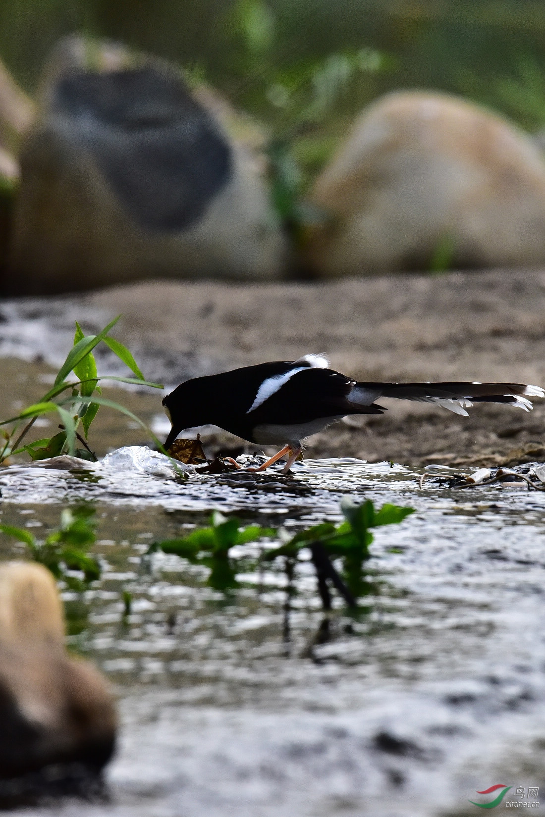 DSC_0934.JPG