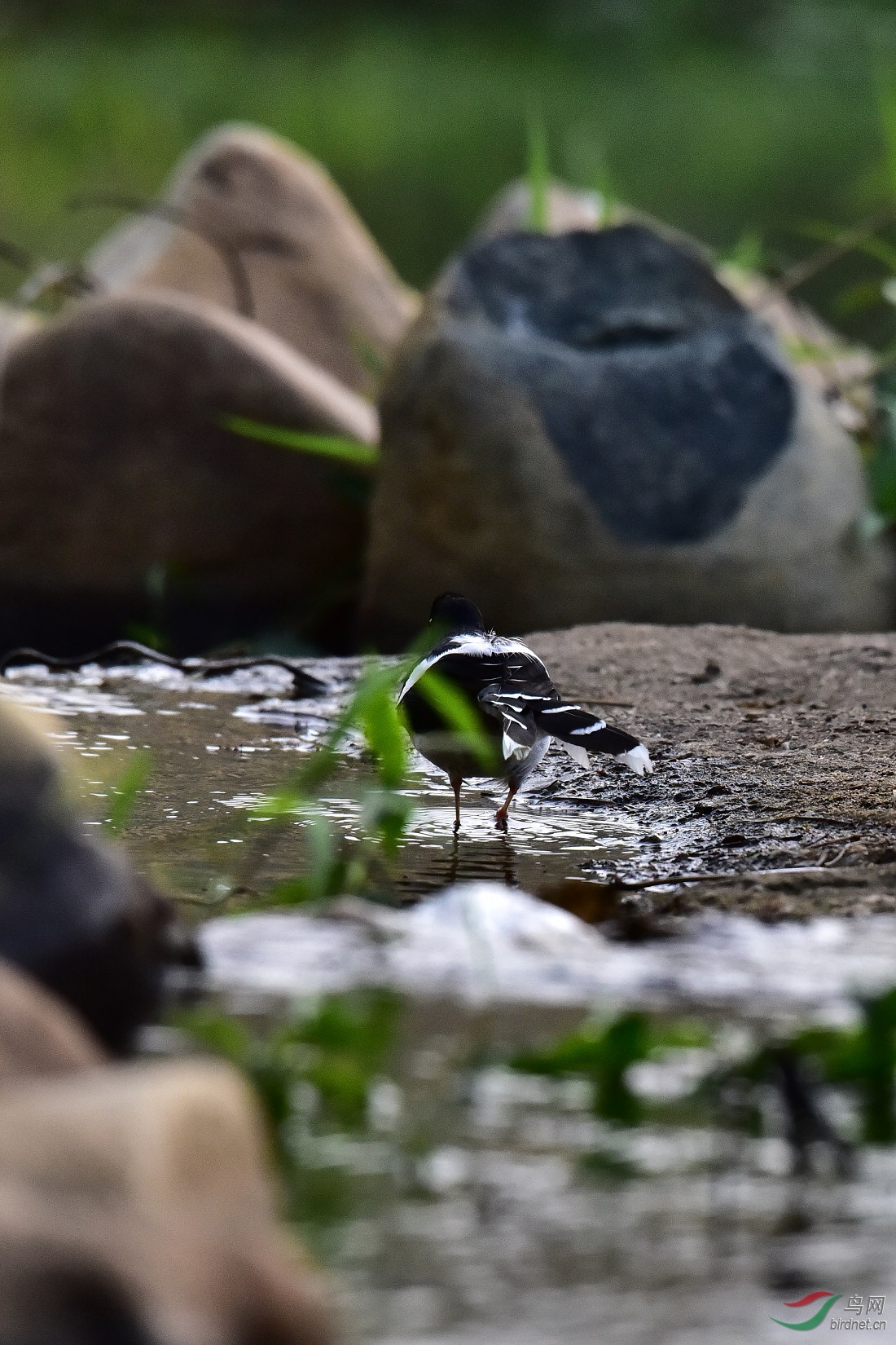 DSC_0935.JPG