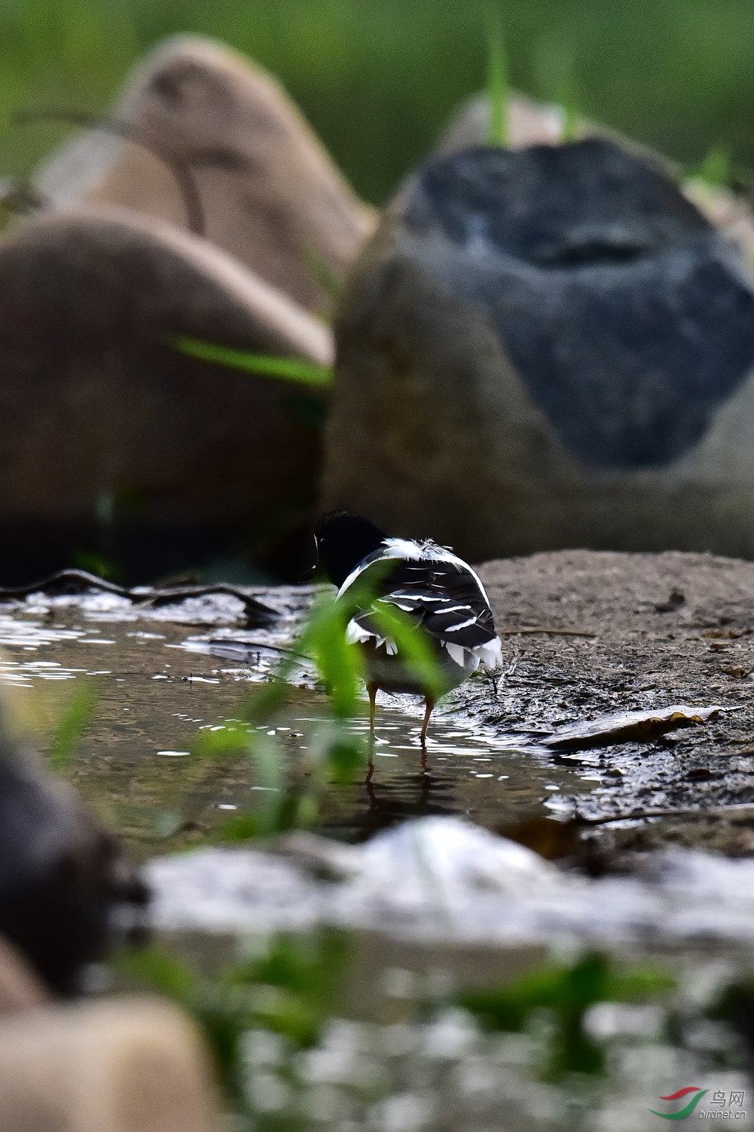 DSC_0937.JPG