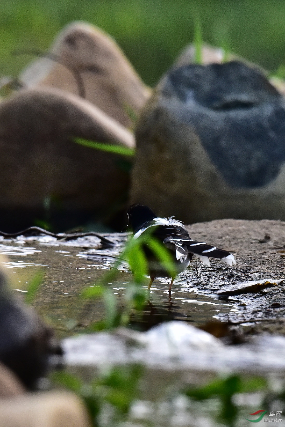 DSC_0938.JPG